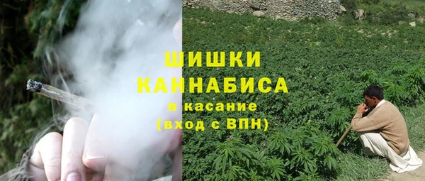 твердый Аркадак