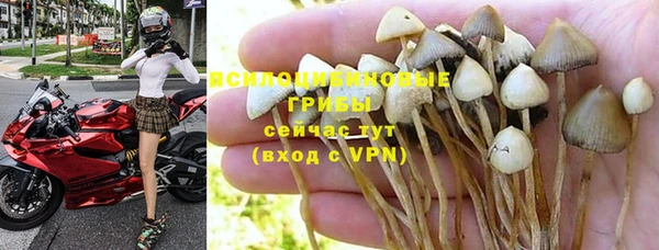 твердый Аркадак