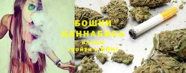 твердый Аркадак