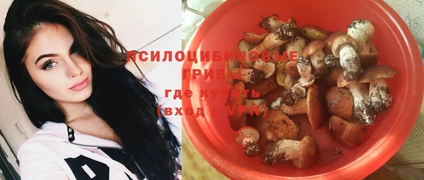 твердый Аркадак