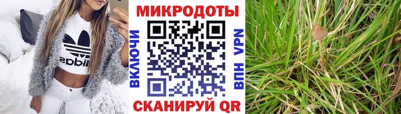 Псилоцибиновые грибы MAGIC MUSHROOMS  Урень 